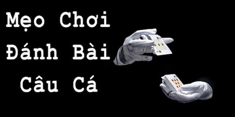 Hãy ghi nhớ các dụng cụ cần thiết trong cách chơi bài câu cá