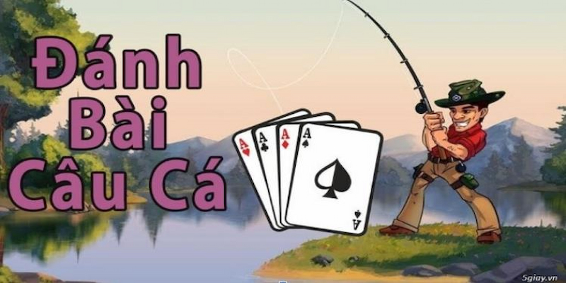 Một số cách chơi bài câu cá giúp bạn toàn thắng
